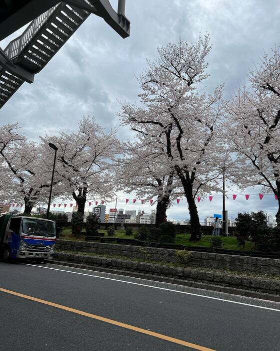 画像836